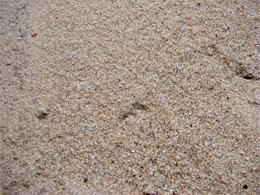 Sand